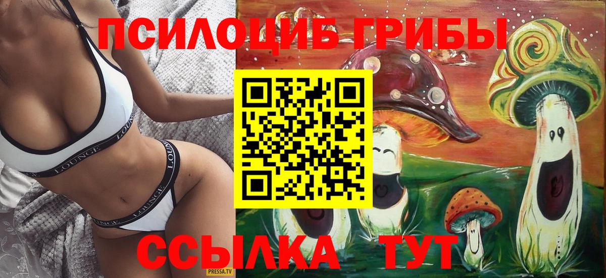 Галлюциногенные грибы Psilocybe Чернушка