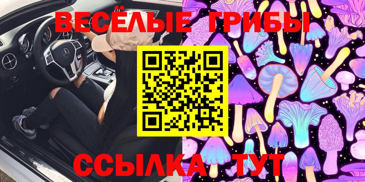 Галлюциногенные грибы мицелий  Псилоцибиновые грибы Psilocybine cubensis  Чернушка  Вход с VPN 